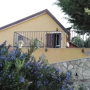Edera , Cammarata Italia