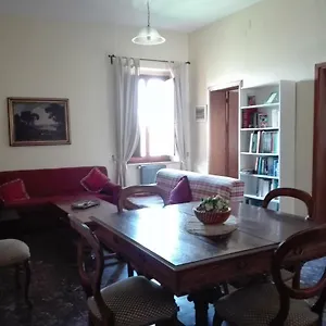 Felix , Scarlino Italia